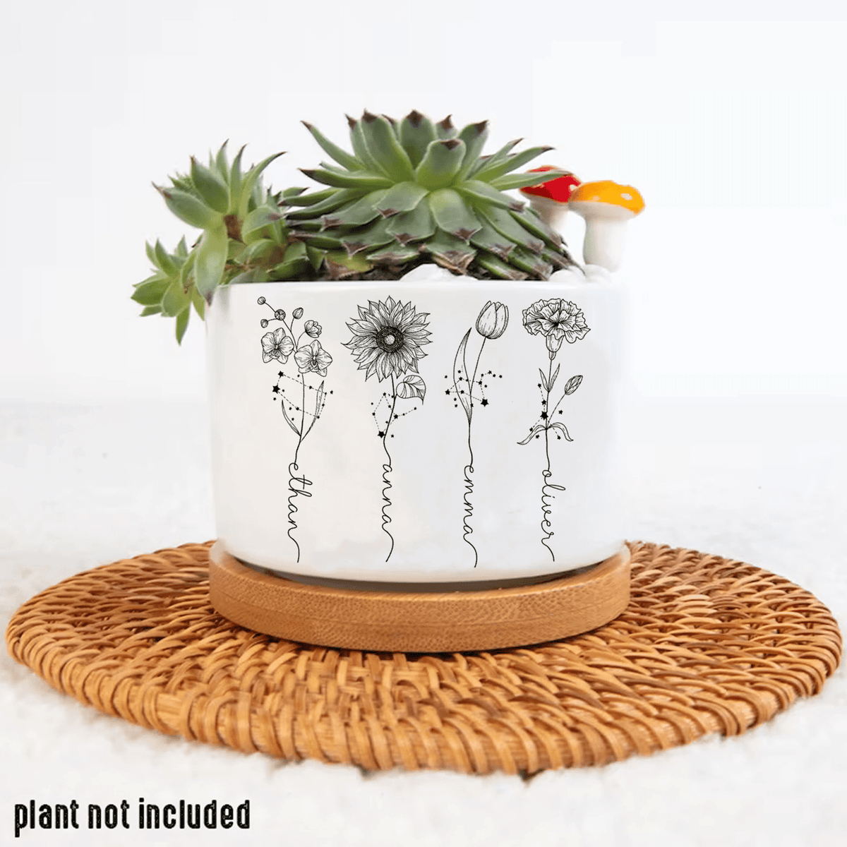 Personalized Name Zodiac Plant Pot, Custom Zodiac Flower Pot, Outdoor Flower Pot With Month Flower, Birthday Gift, Mothers Day Gift
