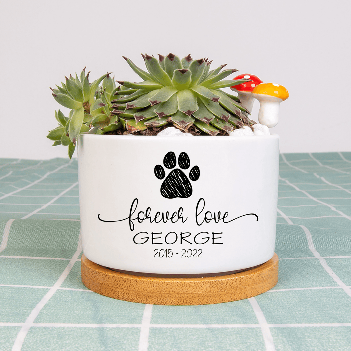 Personalized Pet Memorial Plant Pot, Dog Cat Succulent Pot, Flower Pot for Pet Owners, Mini Plant Pot for Pet Loss, Pet Pot Sympathy Gift