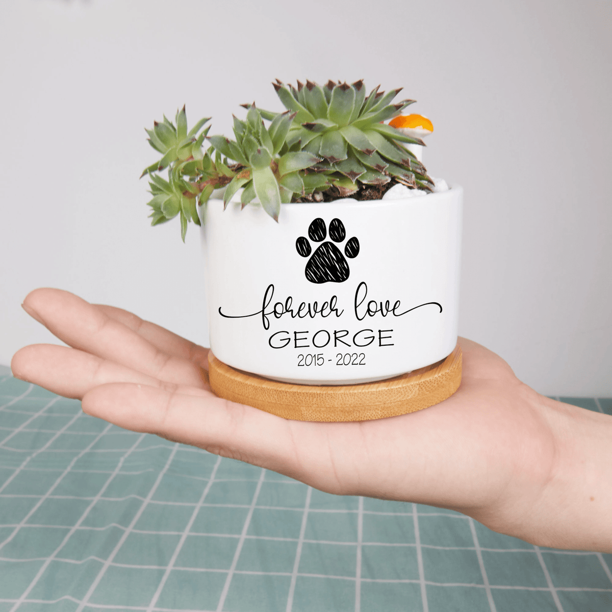 Personalized Pet Memorial Plant Pot, Dog Cat Succulent Pot, Flower Pot for Pet Owners, Mini Plant Pot for Pet Loss, Pet Pot Sympathy Gift