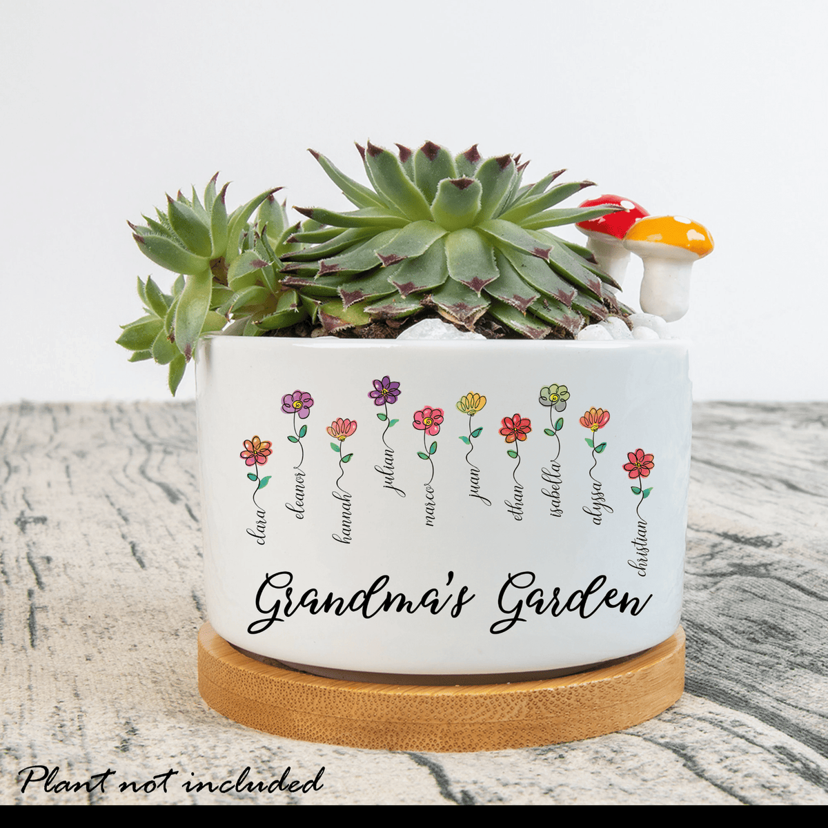 Personalized Grandma Mini Succulent Pot, Nana Mini Plant Pot With Kids Names, Grandma Mini Flower Plant Pot, Mini Desk Decor for Mothers Day