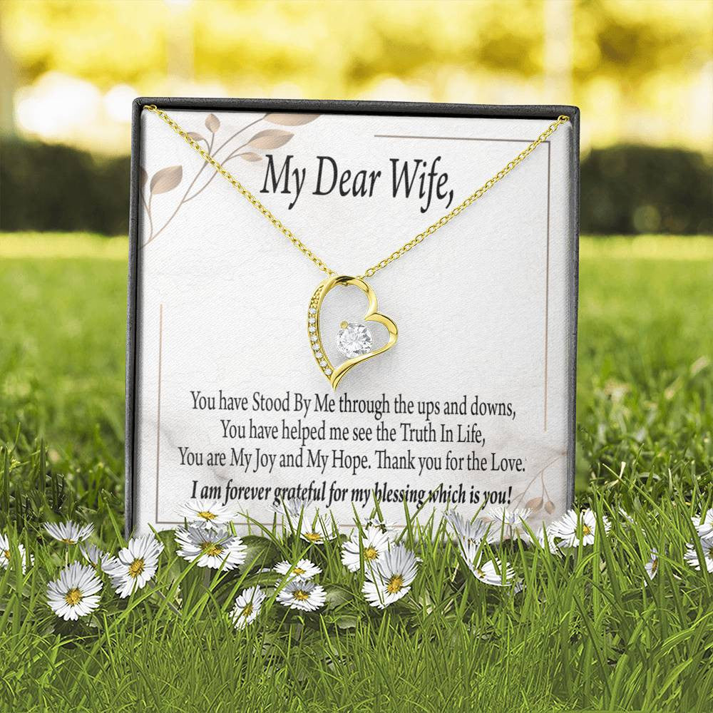 Gift To Wife My Dear Wife Forever Love Necklace Cz Heart Pendant Stainless Steel or 18k Gold - Forever Love Necklace Gift Idea For Woman
