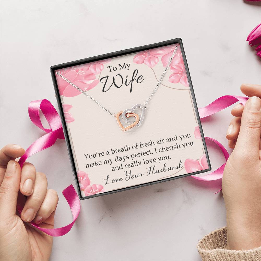You�Re A Breath Of Fresh Air Gift To Wife Inseparable Necklace Pendant 18k Rose Gold Finish 16� - Interlocking Hearts Necklace