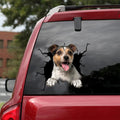 Parson Russell Crack Sticker, Funny Car Decal For Window & Bumper