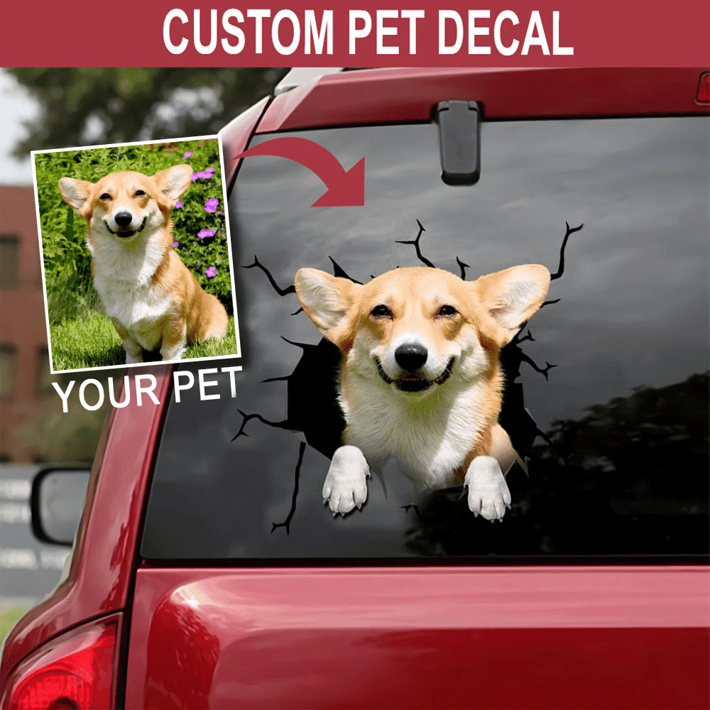 Personalized Your Pet Crack Sticker, Funny Car Decal For Window & Bumper