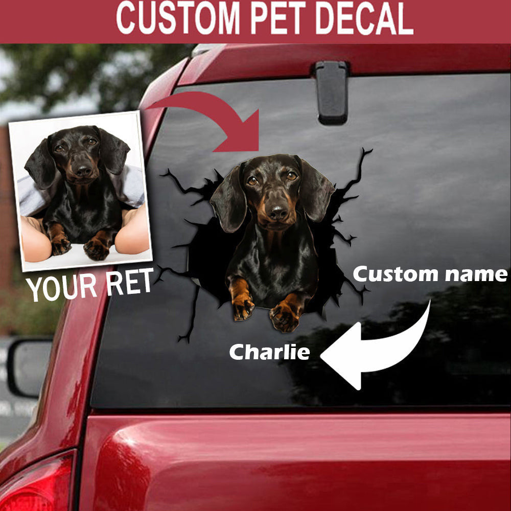 Personalized Your Pet Dachshund Crack Sticker, Funny Car Decal For Window & Bumper
