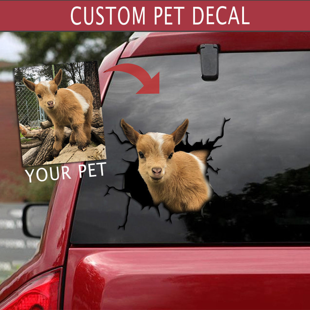 Personalized Your Pet Crack Sticker, Funny Car Decal For Window & Bumper