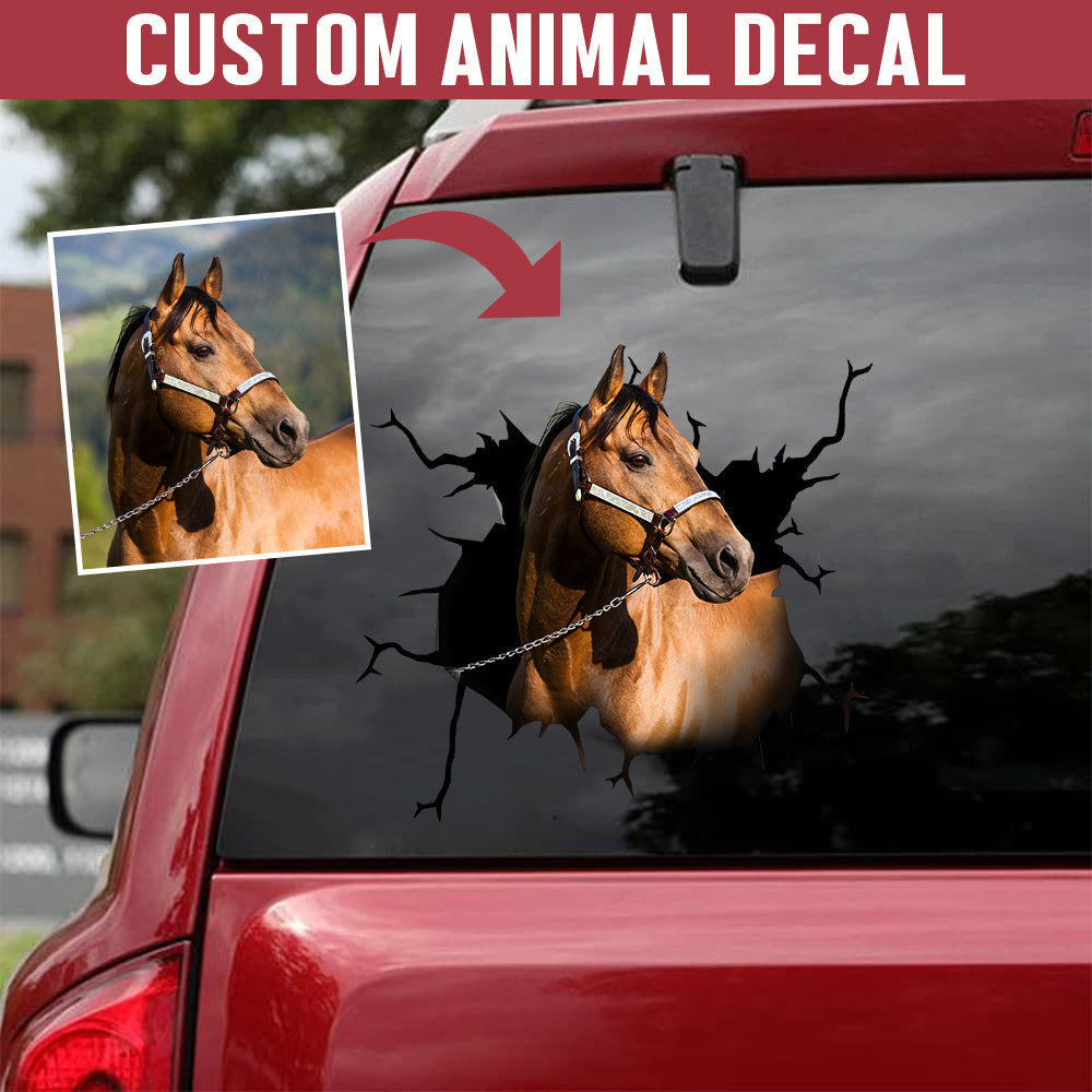 Personalized Your Pet Horse Crack Sticker, Funny Car Decal For Window & Bumper