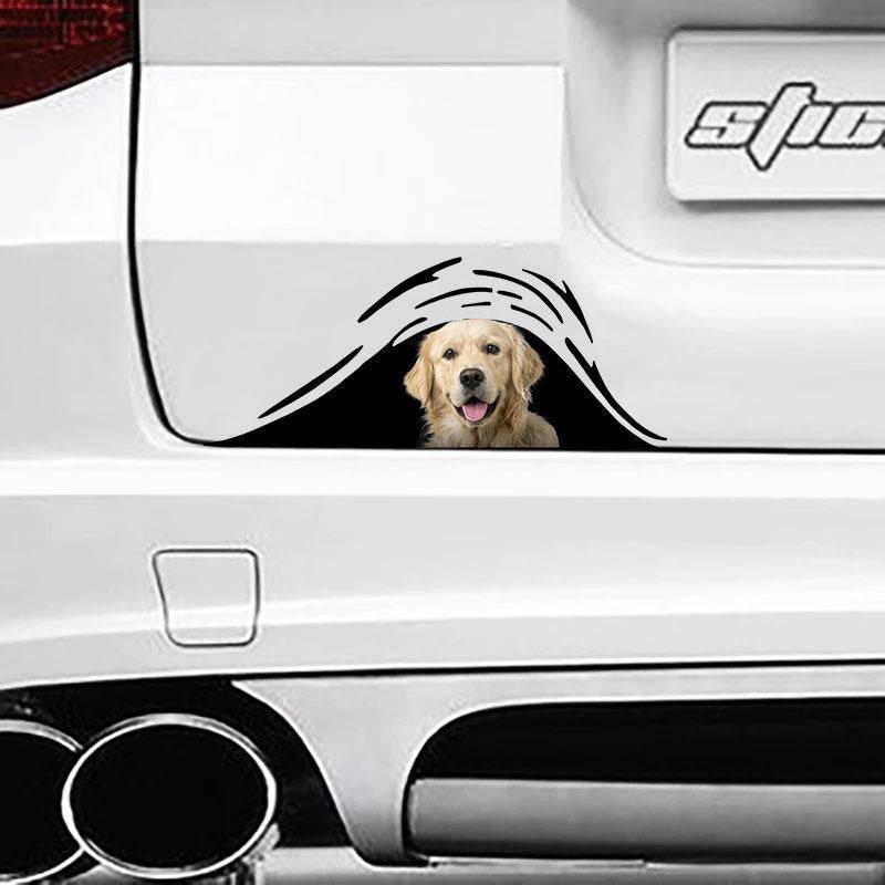 Funny Golden Dogs Bone Sticker, Car Decal For Window & Bumper