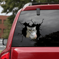 Funny Cats Crack Sticker, Car Decal For Window & Bumper