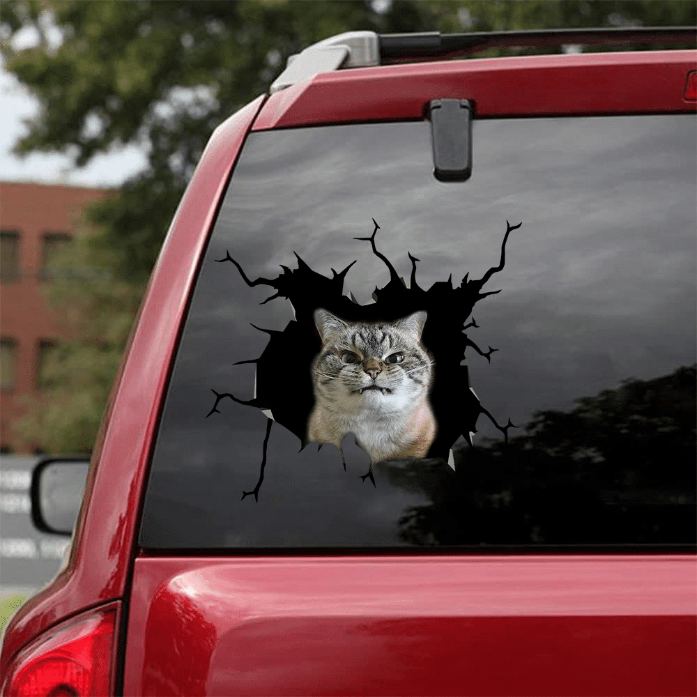 Funny Cats Crack Sticker, Car Decal For Window & Bumper