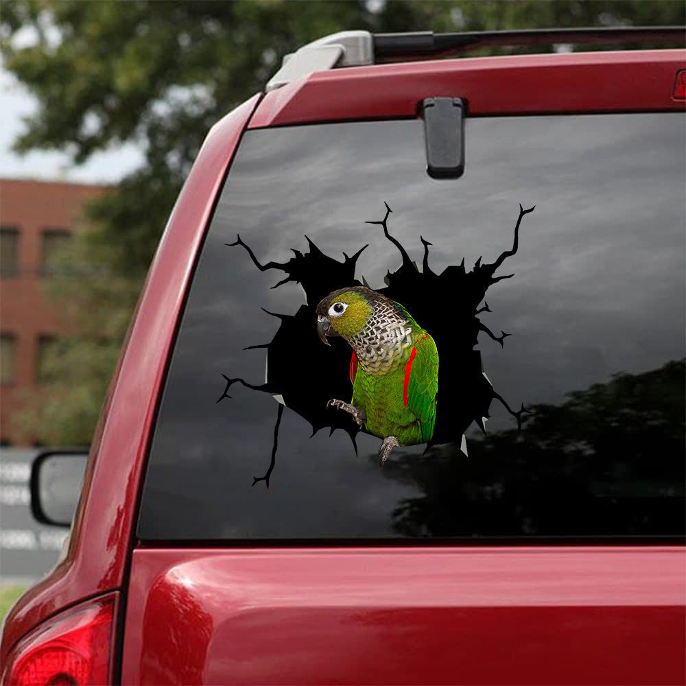 Black Capped Conure Crack Sticker, Funny Car Decal For Window & Bumper