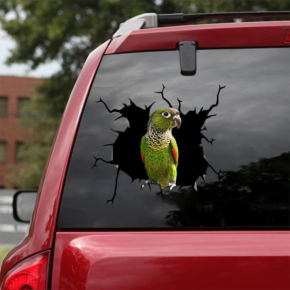 Black-Capped Conure Crack Sticker, Funny Car Decal For Window & Bumper