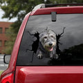 Irish Wolfhound Dogs Crack Decal, Funny Car Sticker For Window & Bumper