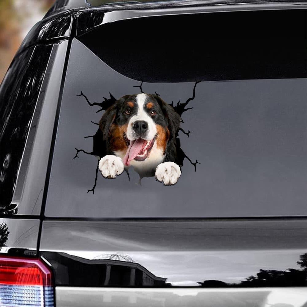 Bernese Mountain Dogs Crack Decal, Funny Car Sticker For Window & Bumper