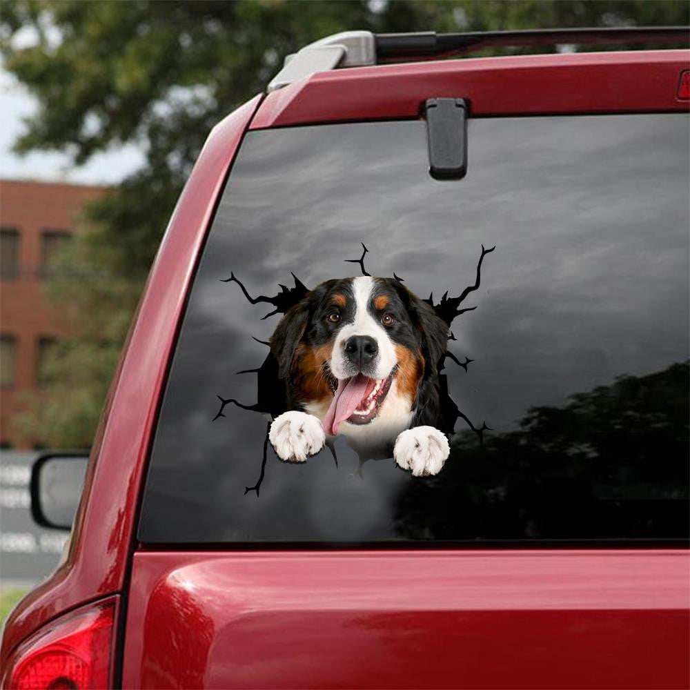 Bernese Mountain Dogs Crack Decal, Funny Car Sticker For Window & Bumper