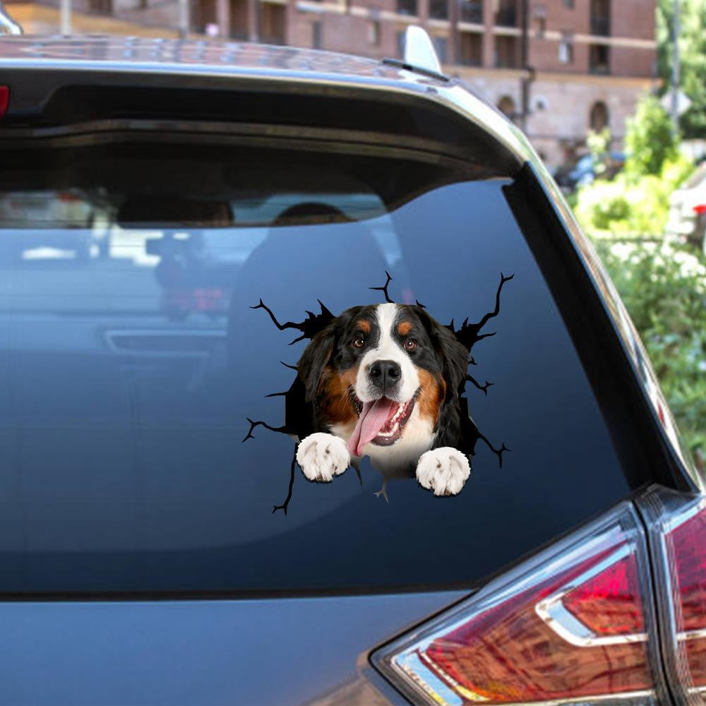 Bernese Mountain Dogs Crack Decal, Funny Car Sticker For Window & Bumper