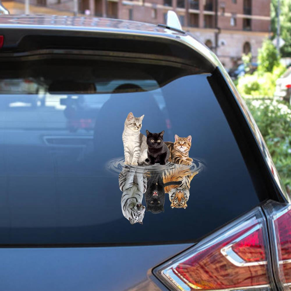 Cats Shade Tigers Animal Car Window Funny Gifs Custom Car Vinyl Car S Gift Tag.Png Car Vinyl Decal Sticker Window Decals, Peel and Stick Wall Decals