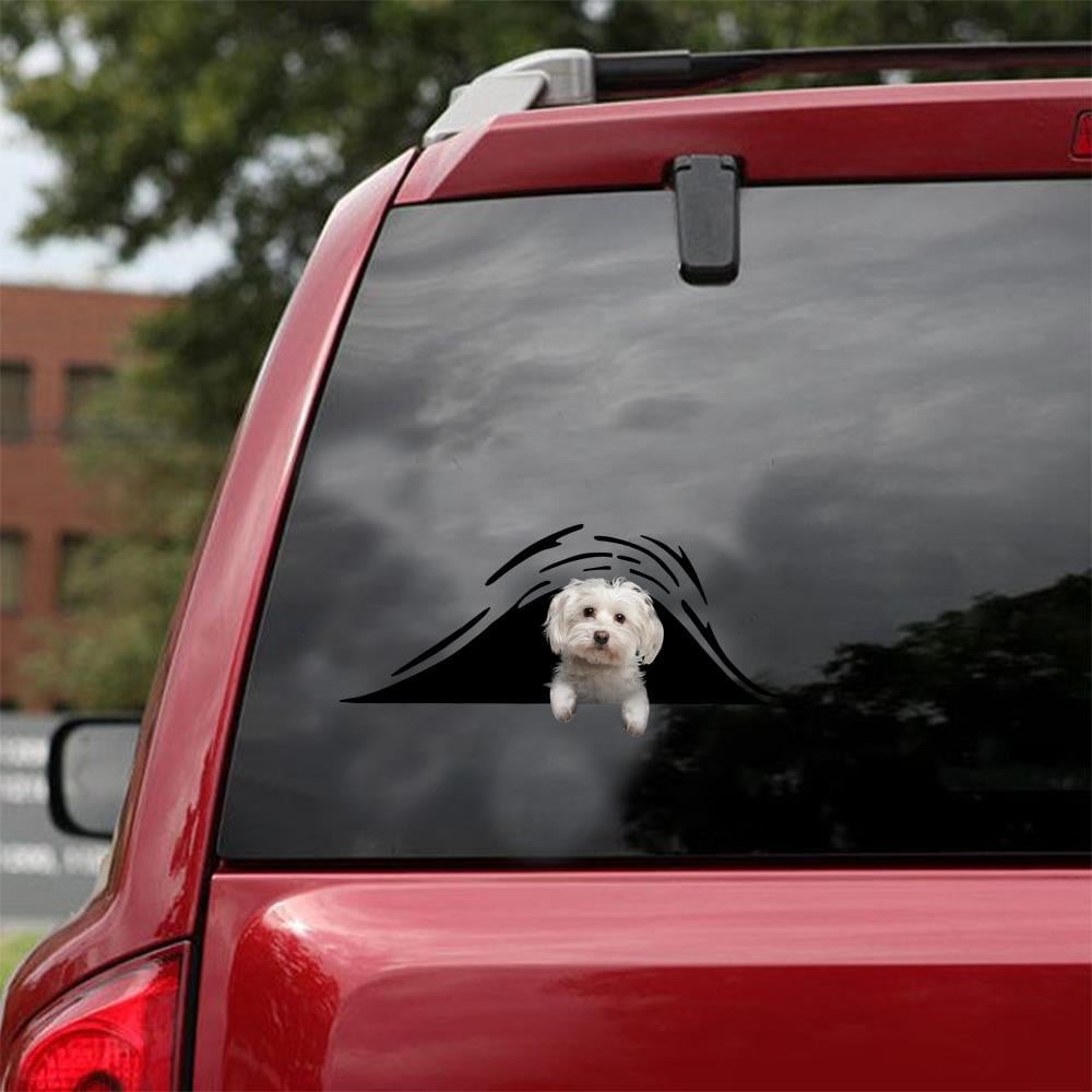 Maltese Bone Funny Birthday Memes Black And White S Funny Gifts For Men.Png Car Vinyl Decal Sticker Window Decals, Peel and Stick Wall Decals