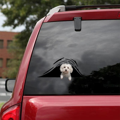 Maltese Bone Funny Birthday Memes Black And White S Funny Gifts For Men.Png Car Vinyl Decal Sticker Window Decals, Peel and Stick Wall Decals