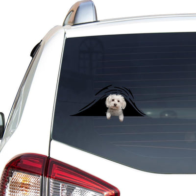 Maltese Bone Funny Birthday Memes Black And White S Funny Gifts For Men.Png Car Vinyl Decal Sticker Window Decals, Peel and Stick Wall Decals