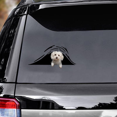 Maltese Bone Funny Birthday Memes Black And White S Funny Gifts For Men.Png Car Vinyl Decal Sticker Window Decals, Peel and Stick Wall Decals