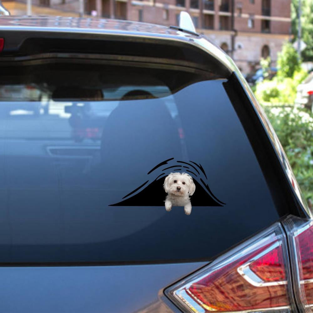 Maltese Bone Funny Birthday Memes Black And White S Funny Gifts For Men.Png Car Vinyl Decal Sticker Window Decals, Peel and Stick Wall Decals