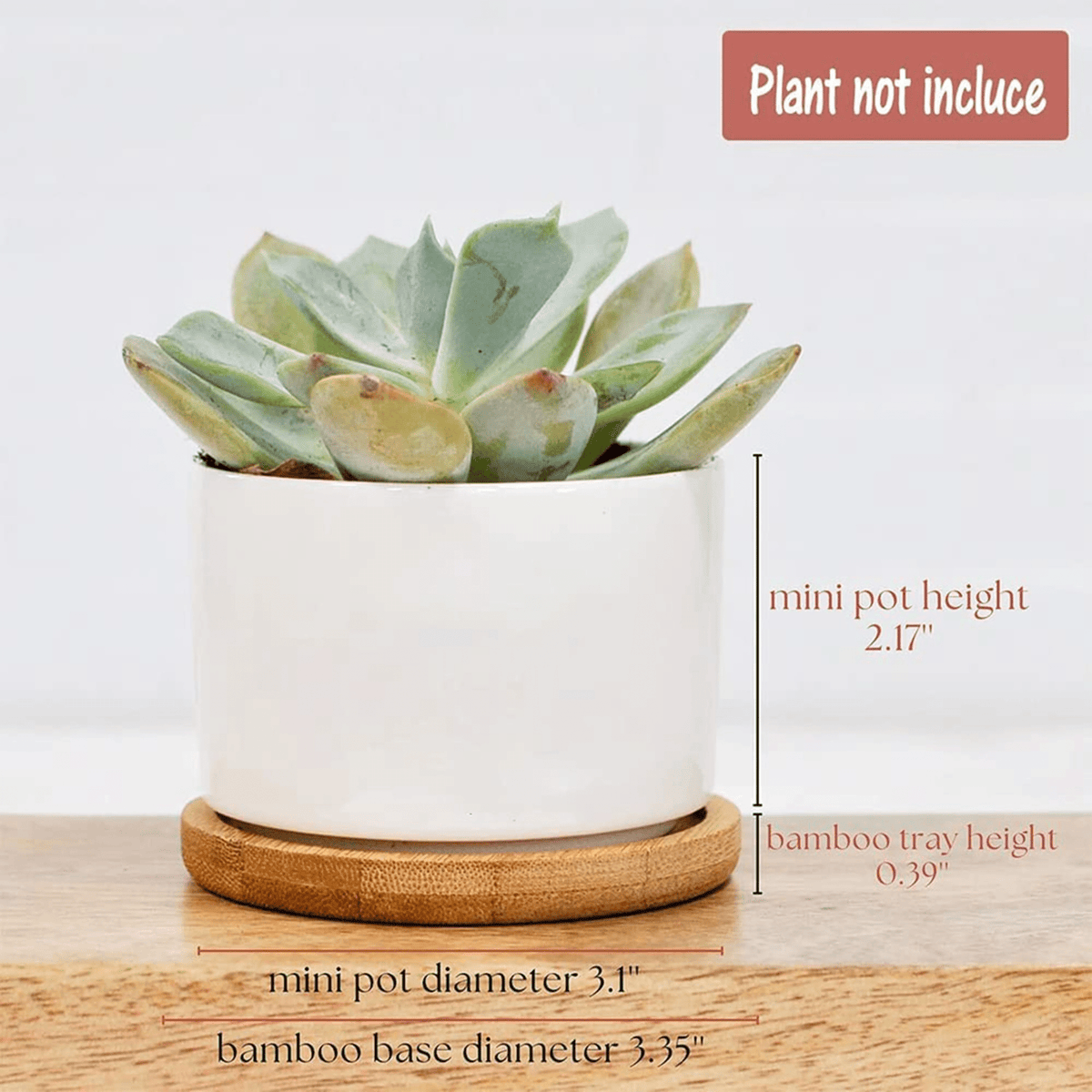 Personalized Peace Love Teach Teacherlife Plant Pot, Plant Pot To Decorate The Desk, Window Decor, Plant Pot For Teacher Appreciation Gift