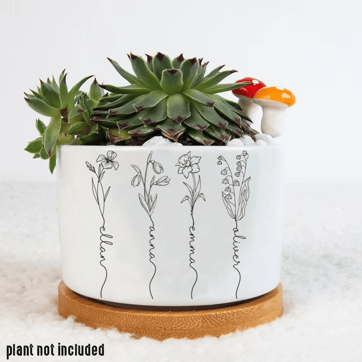 Personalized Name Garden Plant Pot, Custom Mom Flower Pot, Outdoor Flower Pot With Month Flower, Birthday Gift, Mothers Day Gift