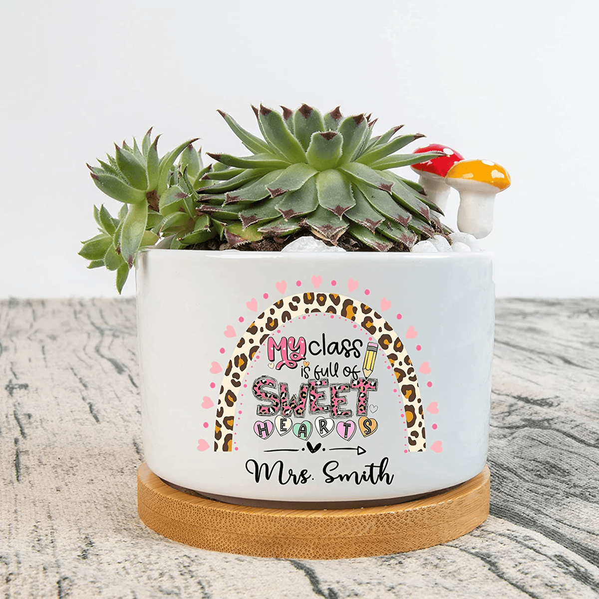 Personalized My Class Is Full Of Sweet Hearts Plant Pot, Plant Pot To Decorate The Desk, Leopard Rainbow Plant Pot, Gift For Teacher