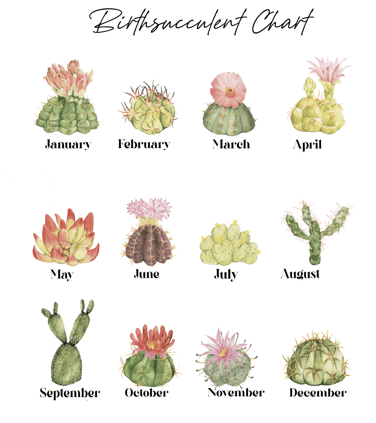 Personalized Name Succulent Plant Pot, Custom Grandma Succulent Pot, Outdoor Pot With Month Succulent, Birthday Gift, Mothers Day Gift