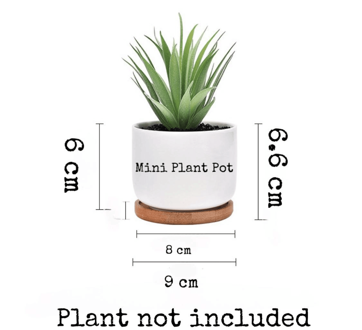 Personalized Nanny Belongs To Plant Pot With Bamboo Tray, Custom Grandma Gift, Birthday, Mothers Day Gift for Grandma, Mum Gift, Nanny Gift