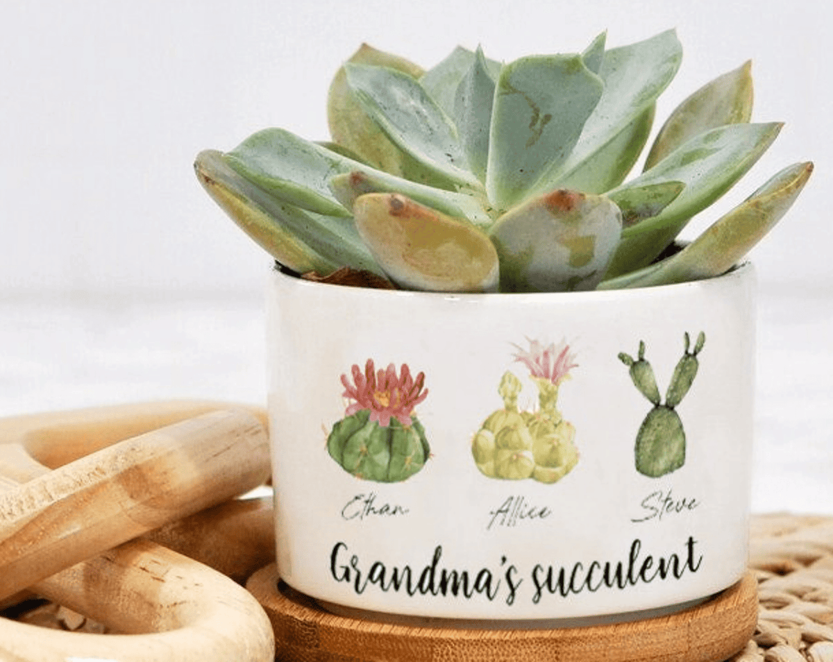 Personalized Name Succulent Plant Pot, Custom Grandma Succulent Pot, Outdoor Pot With Month Succulent, Birthday Gift, Mothers Day Gift
