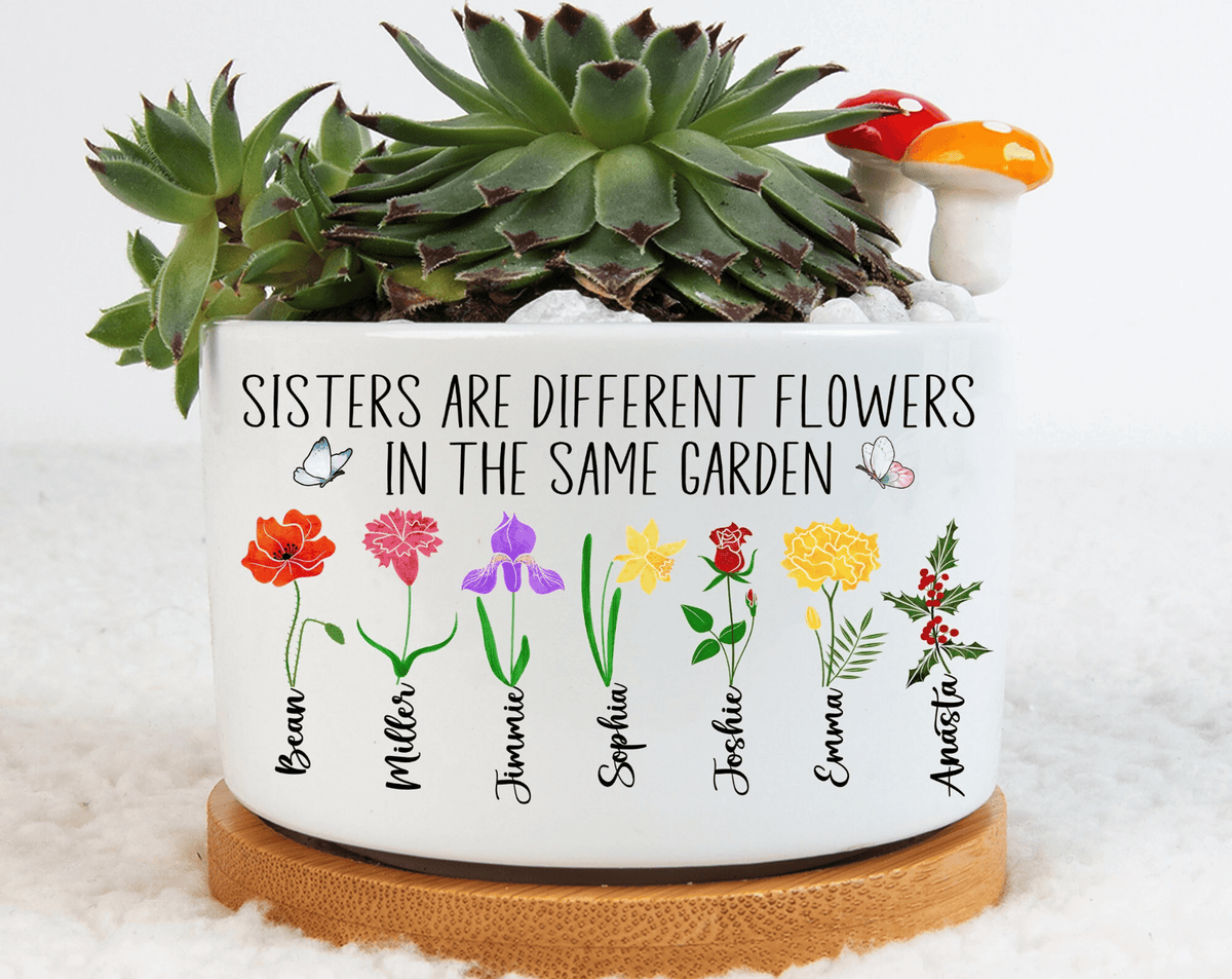 Birth Flower Sisters Plant Pot, Sisters Are Different Flowers From the Same Garden Mini Planter, Month Flower Pot, Sister Gifts For Birthday