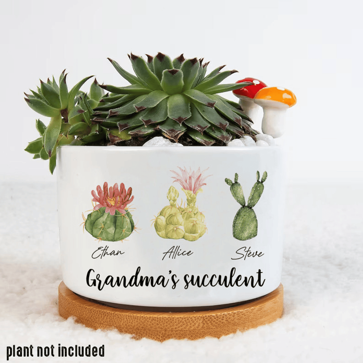 Personalized Name Succulent Plant Pot, Custom Grandma Succulent Pot, Outdoor Pot With Month Succulent, Birthday Gift, Mothers Day Gift