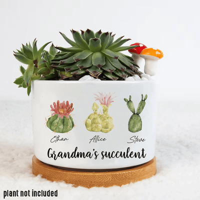 Personalized Name Succulent Plant Pot, Custom Grandma Succulent Pot, Outdoor Pot With Month Succulent, Birthday Gift, Mothers Day Gift