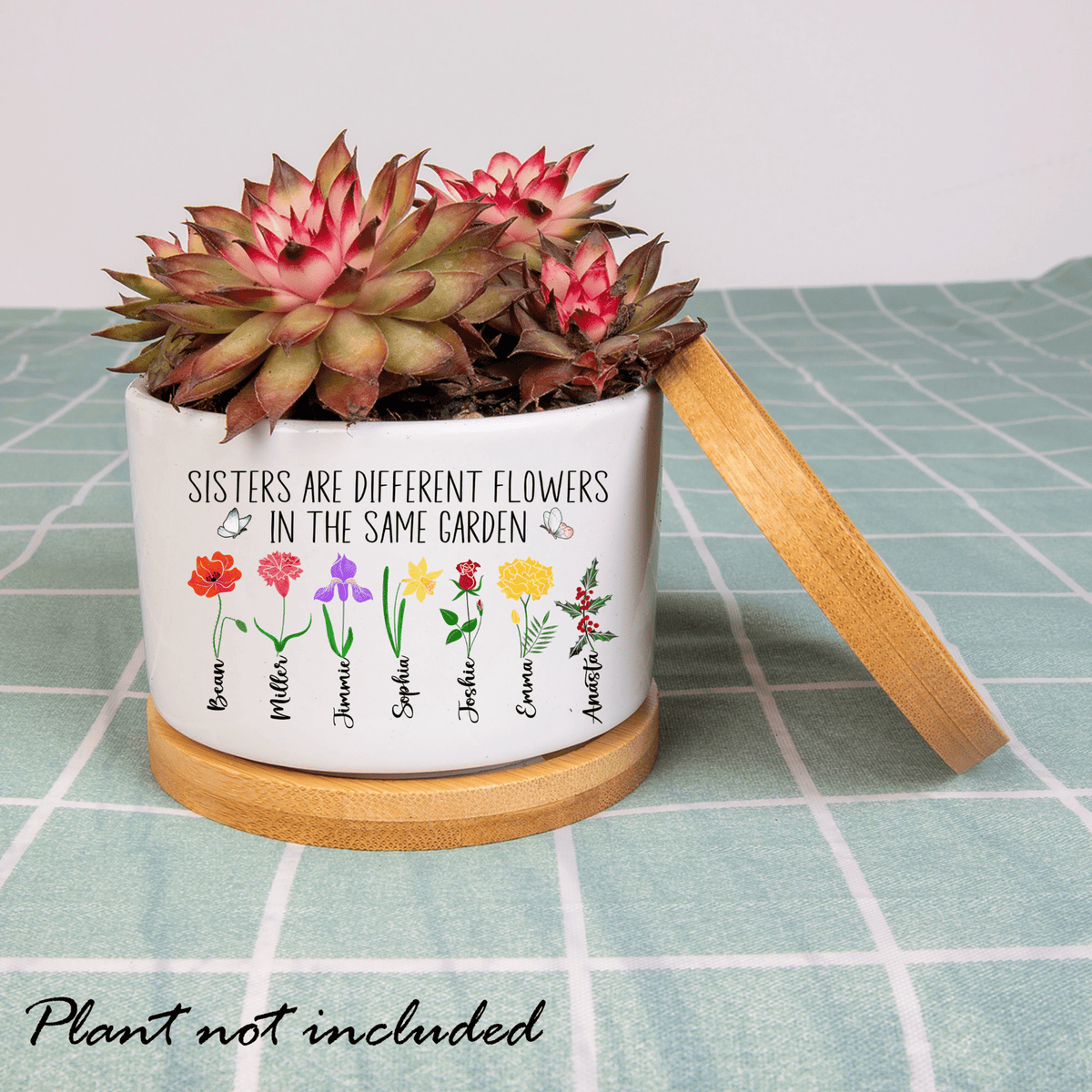 Birth Flower Sisters Plant Pot, Sisters Are Different Flowers From the Same Garden Mini Planter, Month Flower Pot, Sister Gifts For Birthday