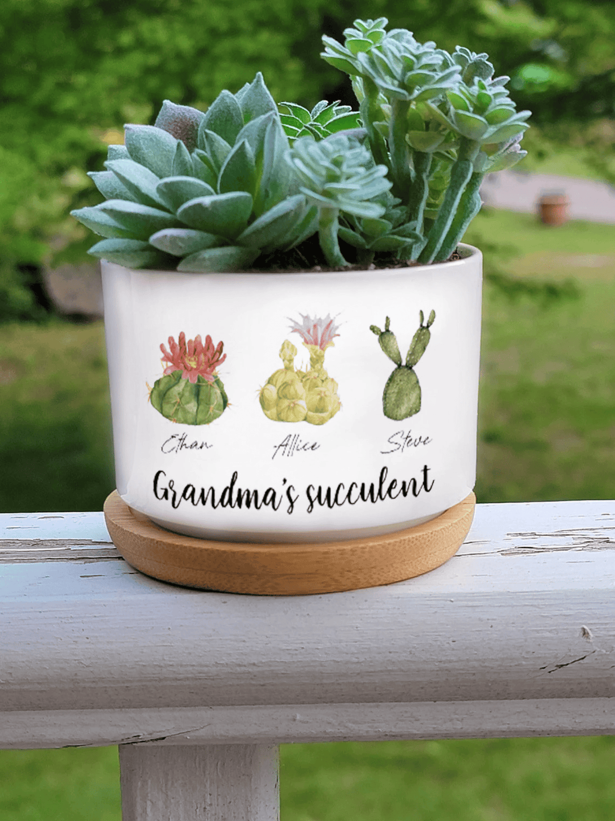 Personalized Name Succulent Plant Pot, Custom Grandma Succulent Pot, Outdoor Pot With Month Succulent, Birthday Gift, Mothers Day Gift
