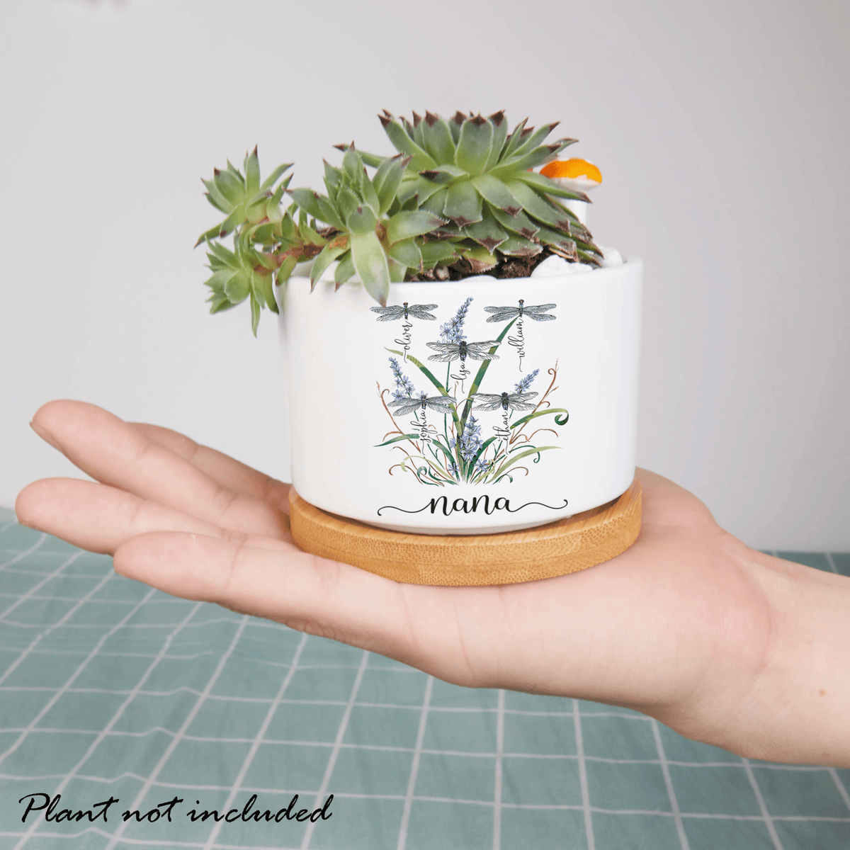 Personalized Nanas Garden Dragonfly Outdoor Indoor Planter, Custom Grandma Outdoor Plant Pot, Custom Mini Pot for Grandma, Garden Pot Decor