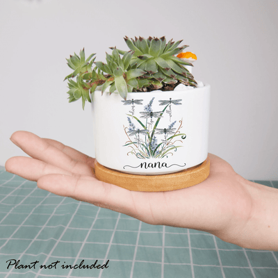 Personalized Nanas Garden Dragonfly Outdoor Indoor Planter, Custom Grandma Outdoor Plant Pot, Custom Mini Pot for Grandma, Garden Pot Decor