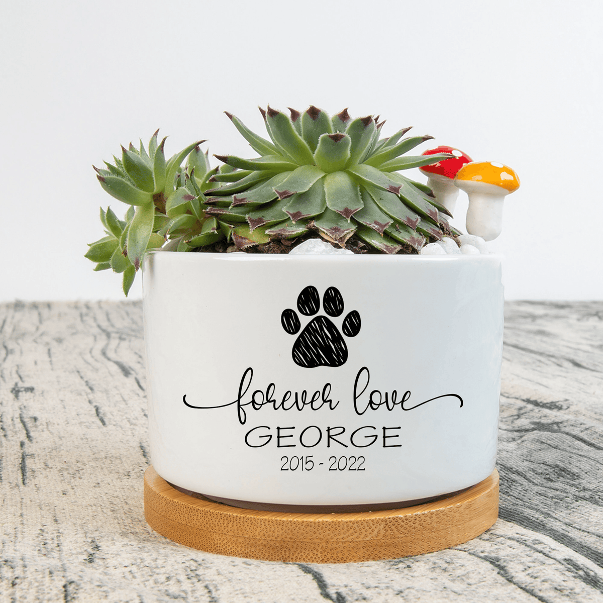 Personalized Pet Memorial Plant Pot, Dog Cat Succulent Pot, Flower Pot for Pet Owners, Mini Plant Pot for Pet Loss, Pet Pot Sympathy Gift