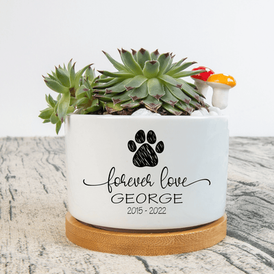 Personalized Pet Memorial Plant Pot, Dog Cat Succulent Pot, Flower Pot for Pet Owners, Mini Plant Pot for Pet Loss, Pet Pot Sympathy Gift
