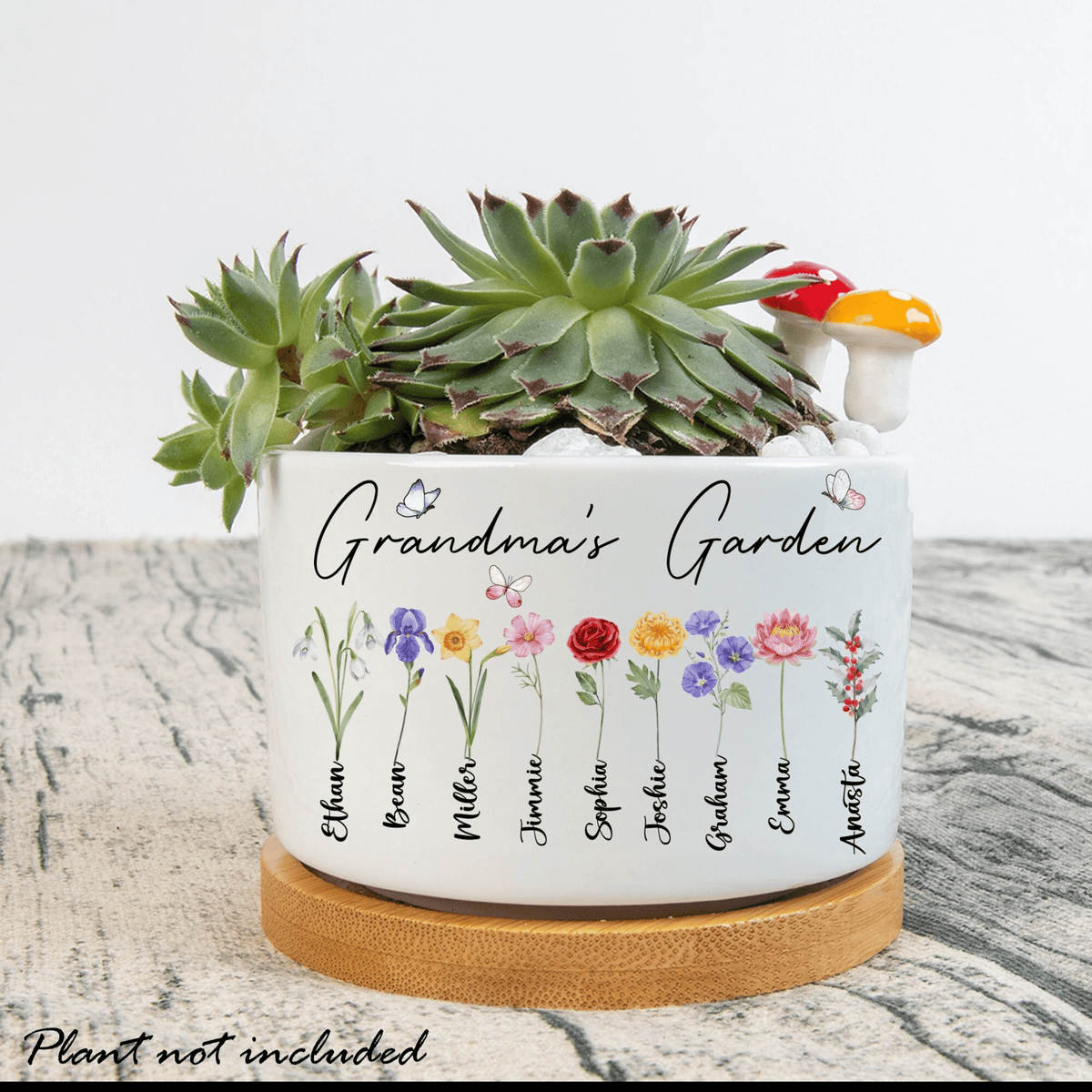 Personalized Grandma's Garden Plant Pot, Mom's Garden, Birth Month Flower Family Personalized Plant Pot Mothers Day Gift