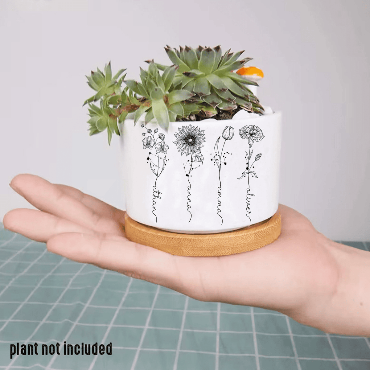 Personalized Name Zodiac Plant Pot, Custom Zodiac Flower Pot, Outdoor Flower Pot With Month Flower, Birthday Gift, Mothers Day Gift