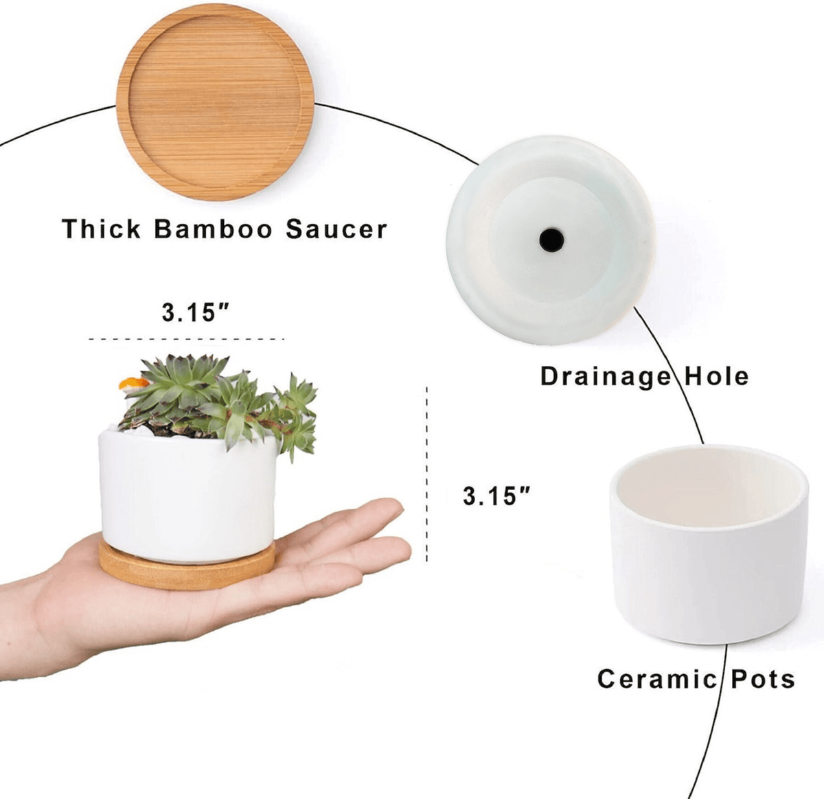 Grandmas Garden - Custom Mini Plant Pot - Personalized Birth Flower Succulent Planter - Mother's Day Gift - Gift for Grandma