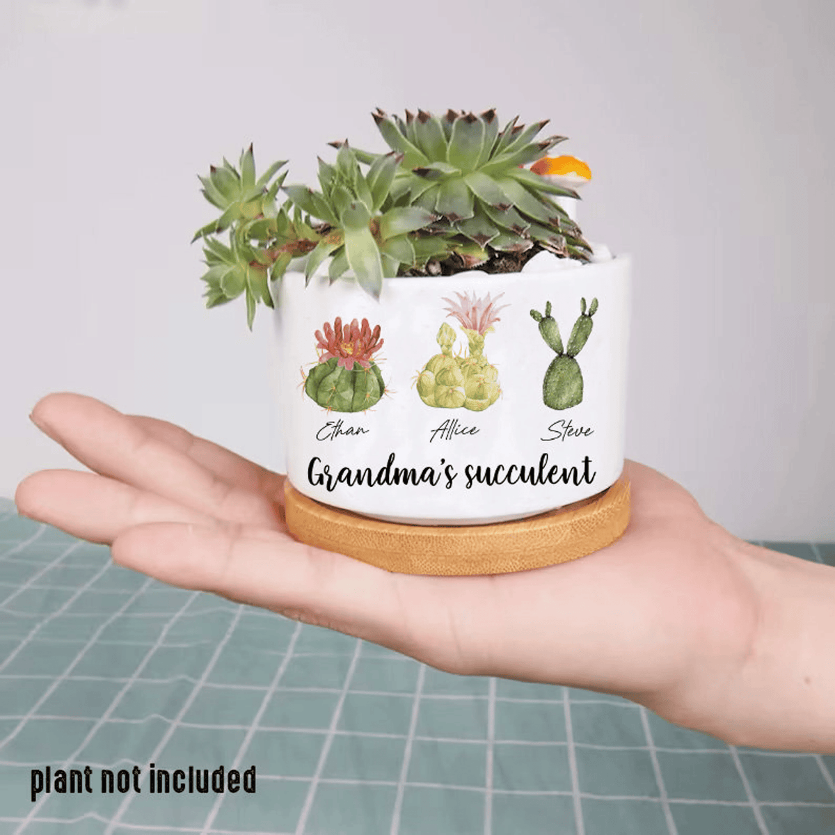 Personalized Name Succulent Plant Pot, Custom Grandma Succulent Pot, Outdoor Pot With Month Succulent, Birthday Gift, Mothers Day Gift