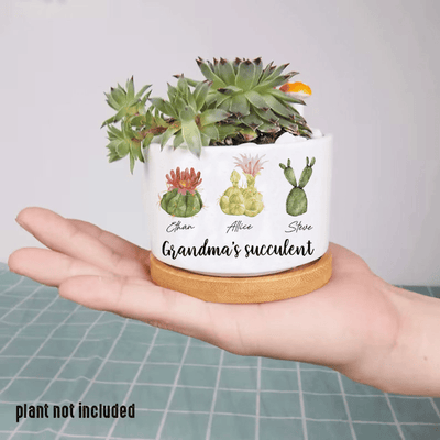 Personalized Name Succulent Plant Pot, Custom Grandma Succulent Pot, Outdoor Pot With Month Succulent, Birthday Gift, Mothers Day Gift