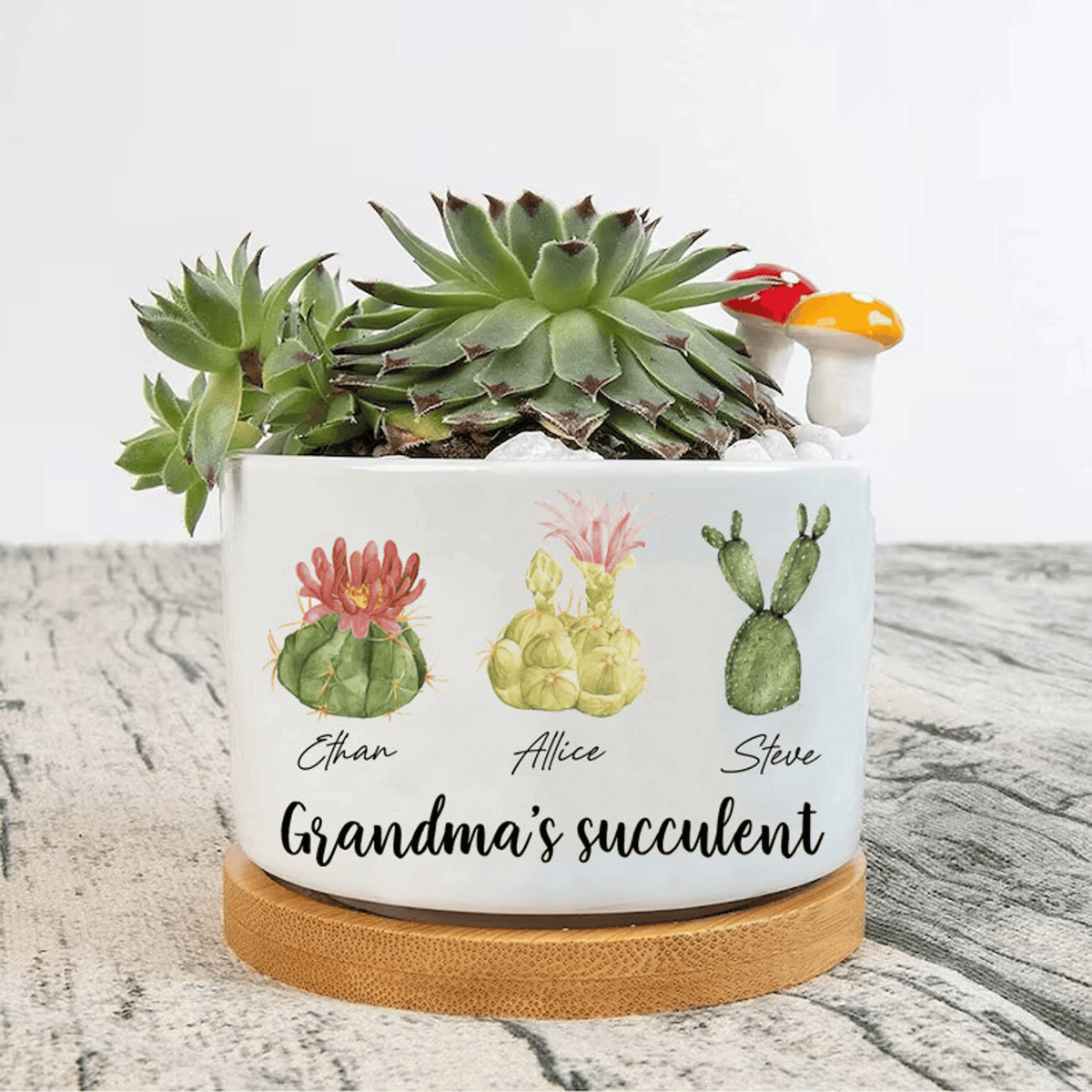 Personalized Name Succulent Plant Pot, Custom Grandma Succulent Pot, Outdoor Pot With Month Succulent, Birthday Gift, Mothers Day Gift