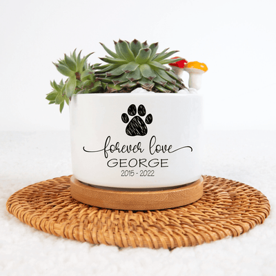 Personalized Pet Memorial Plant Pot, Dog Cat Succulent Pot, Flower Pot for Pet Owners, Mini Plant Pot for Pet Loss, Pet Pot Sympathy Gift