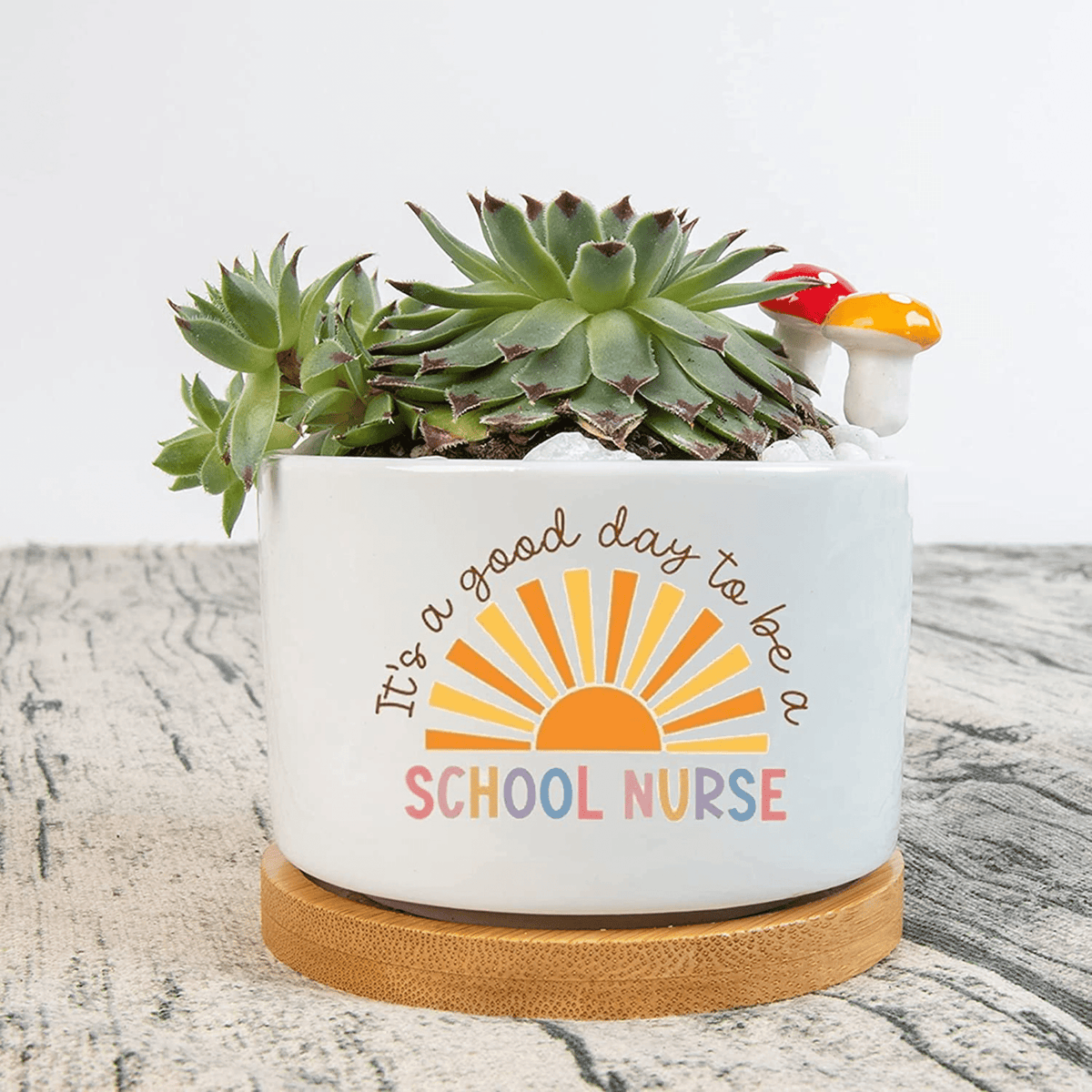 Personalized School Nurse Plant Pot, Plant Pot To Decorate The Desk, Gift For Mother Day, Appreciation Gift For Nurse, Nurse Plant Pot