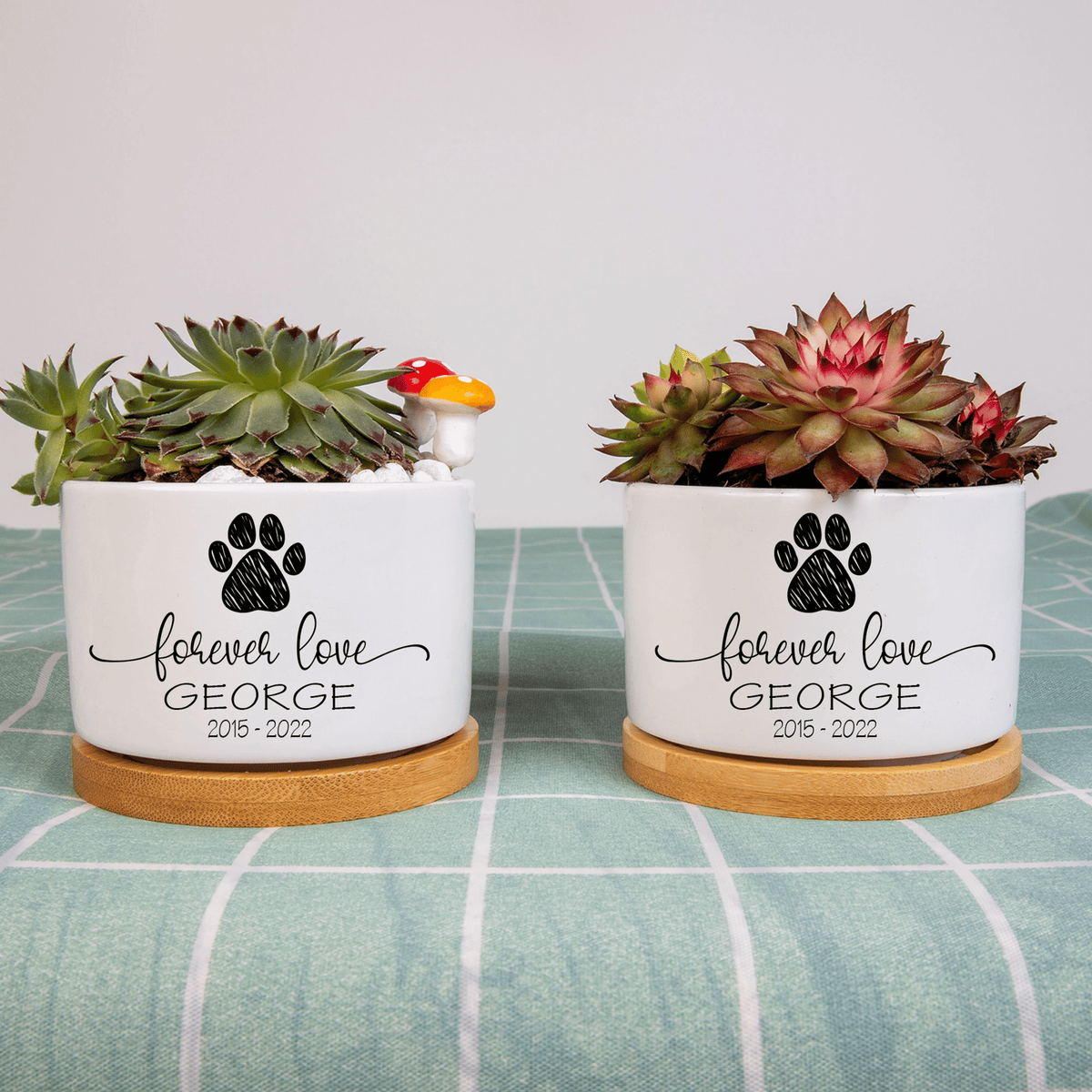 Personalized Pet Memorial Plant Pot, Dog Cat Succulent Pot, Flower Pot for Pet Owners, Mini Plant Pot for Pet Loss, Pet Pot Sympathy Gift